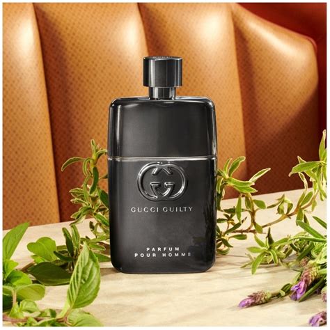 gucci chevaliere homme|gucci guilty parfum pour homme.